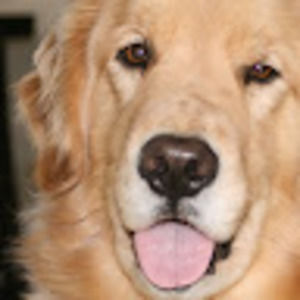 Meet your Posher, John & jennifer